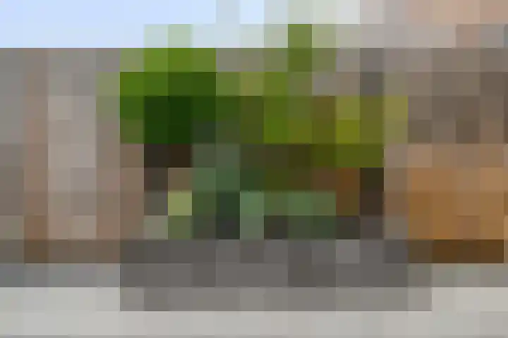 Scarpe Ee-laan 18 Scherpenisse thumbnail 45