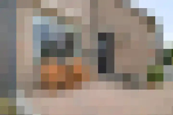 Scarpe Ee-laan 18 Scherpenisse thumbnail 5