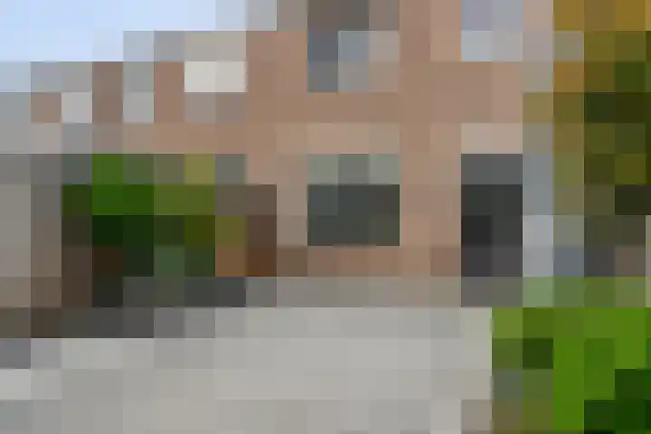 Scarpe Ee-laan 18 Scherpenisse thumbnail 50