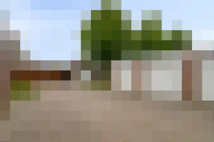 Scarpe Ee-laan 18 Scherpenisse thumbnail 52