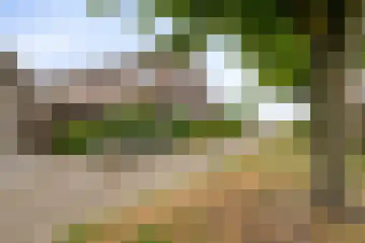 Scarpe Ee-laan 18 Scherpenisse thumbnail 54