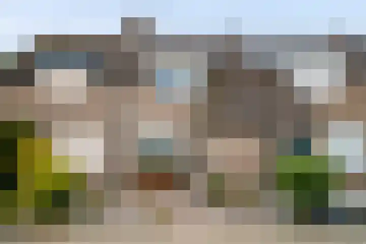 Scarpe Ee-laan 18 Scherpenisse thumbnail 55