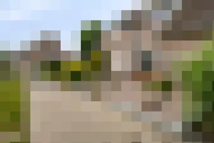 Scarpe Ee-laan 18 Scherpenisse thumbnail 56