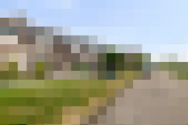Scarpe Ee-laan 18 Scherpenisse thumbnail 58