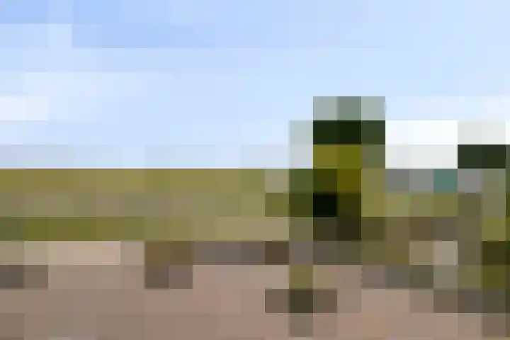 Scarpe Ee-laan 18 Scherpenisse thumbnail 59