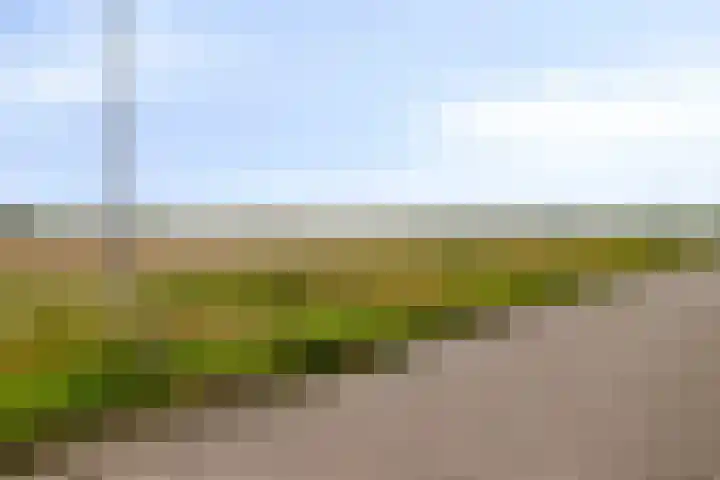 Scarpe Ee-laan 18 Scherpenisse thumbnail 60