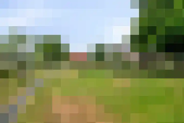 Scarpe Ee-laan 18 Scherpenisse thumbnail 62