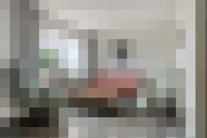 Scarpe Ee-laan 18 Scherpenisse thumbnail 9