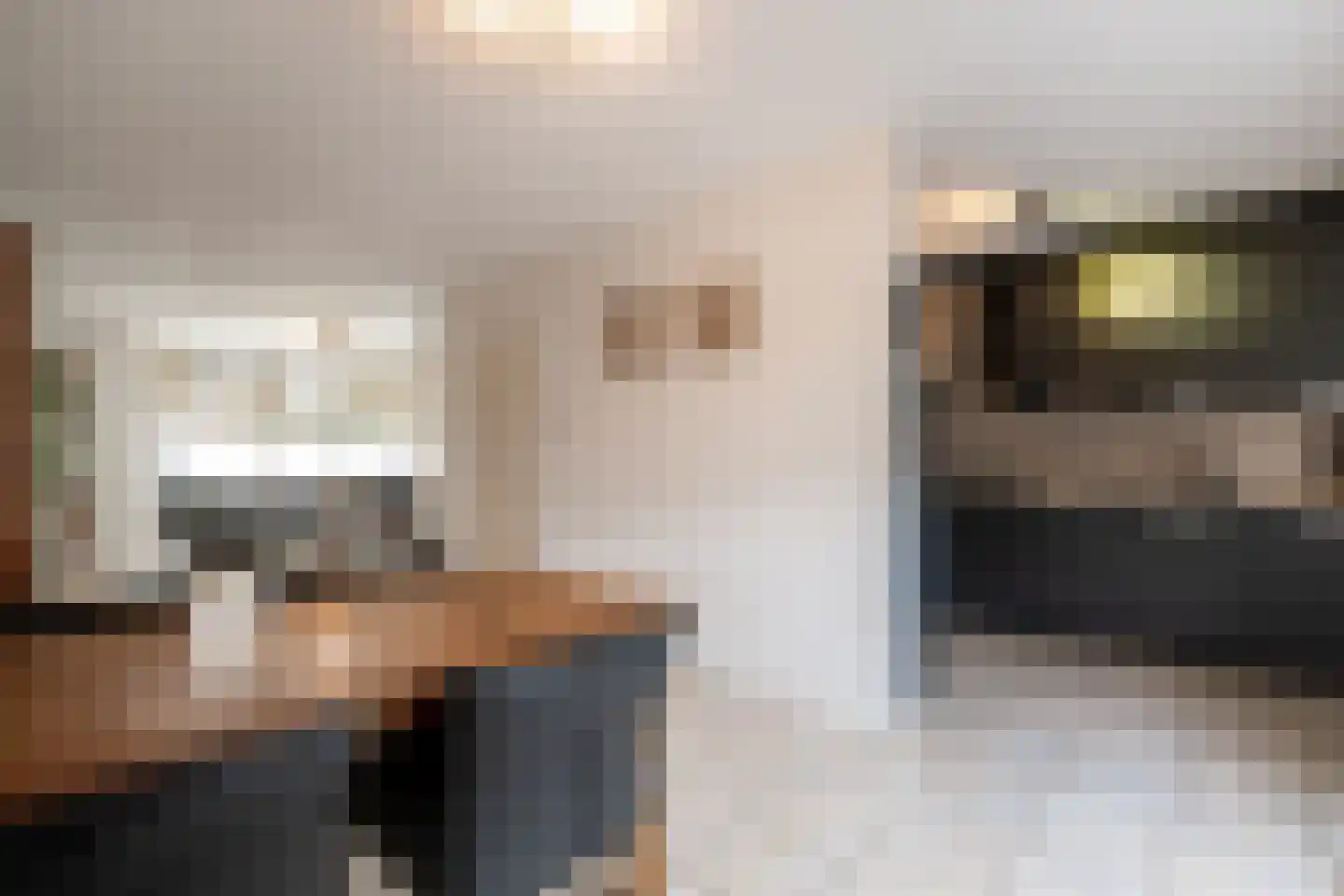 Schaafdries 13 Ravenstein thumbnail 11