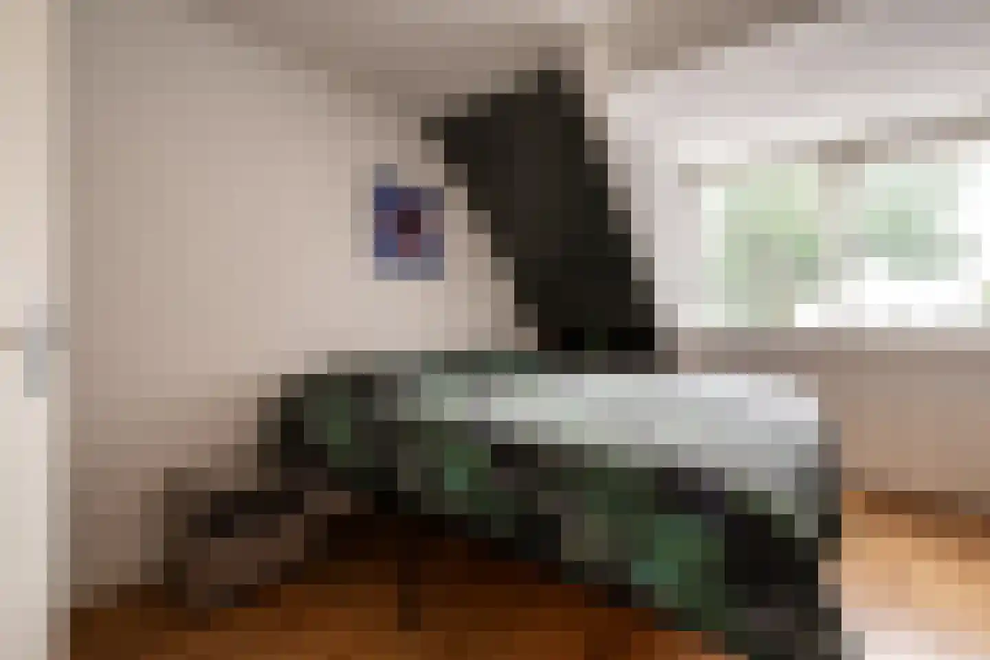 Schaafdries 13 Ravenstein thumbnail 17