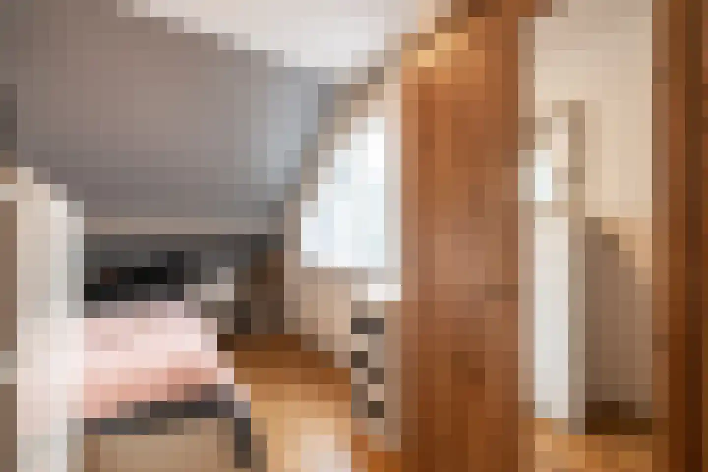 Schaafdries 13 Ravenstein thumbnail 18