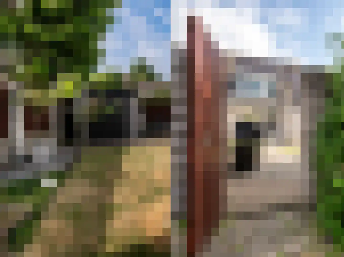 Schaafdries 13 Ravenstein thumbnail 25