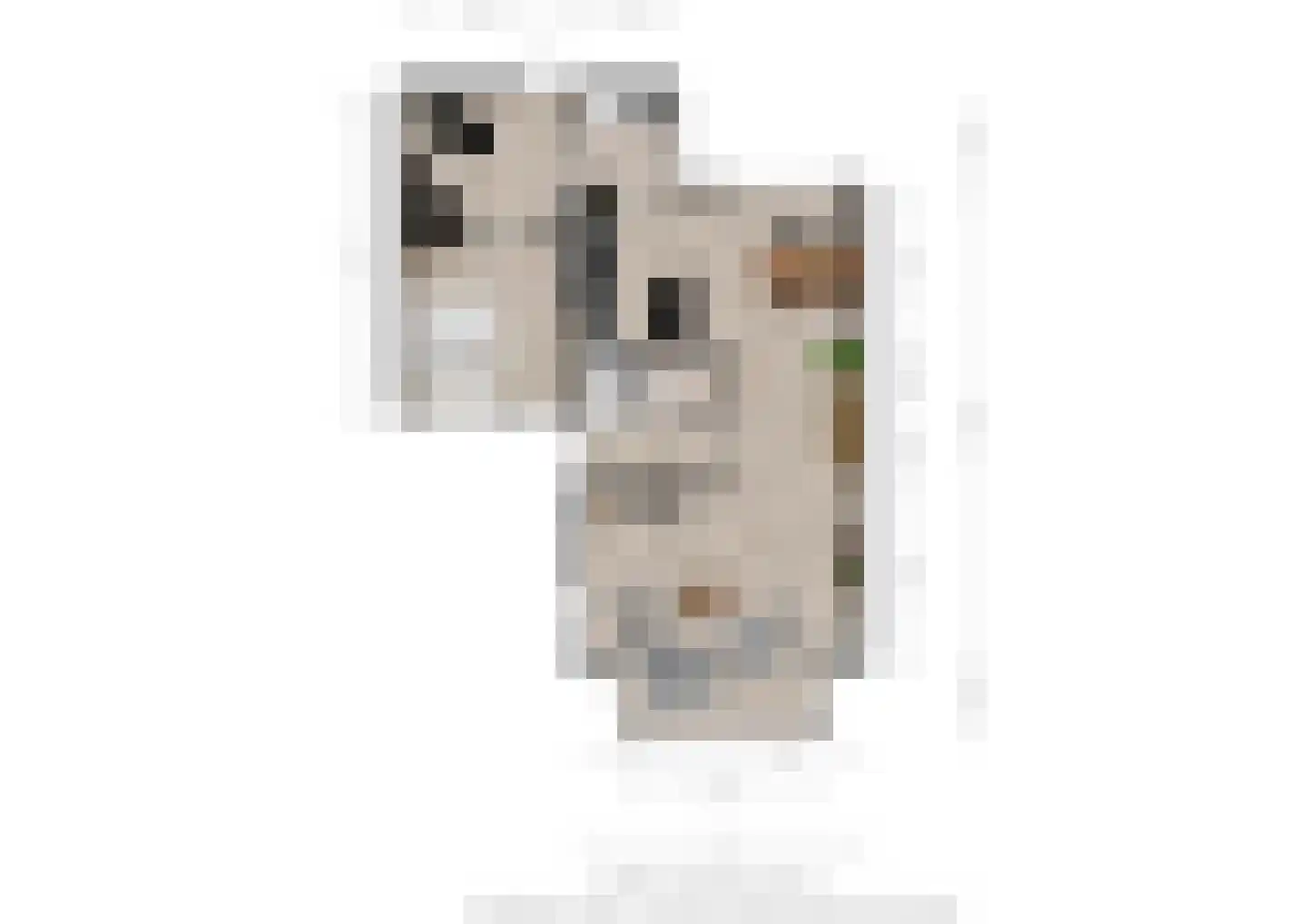 Schaafdries 13 Ravenstein thumbnail 27