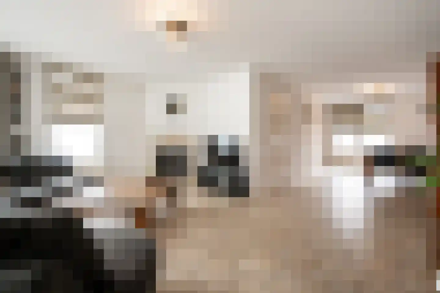 Schaafdries 13 Ravenstein thumbnail 8