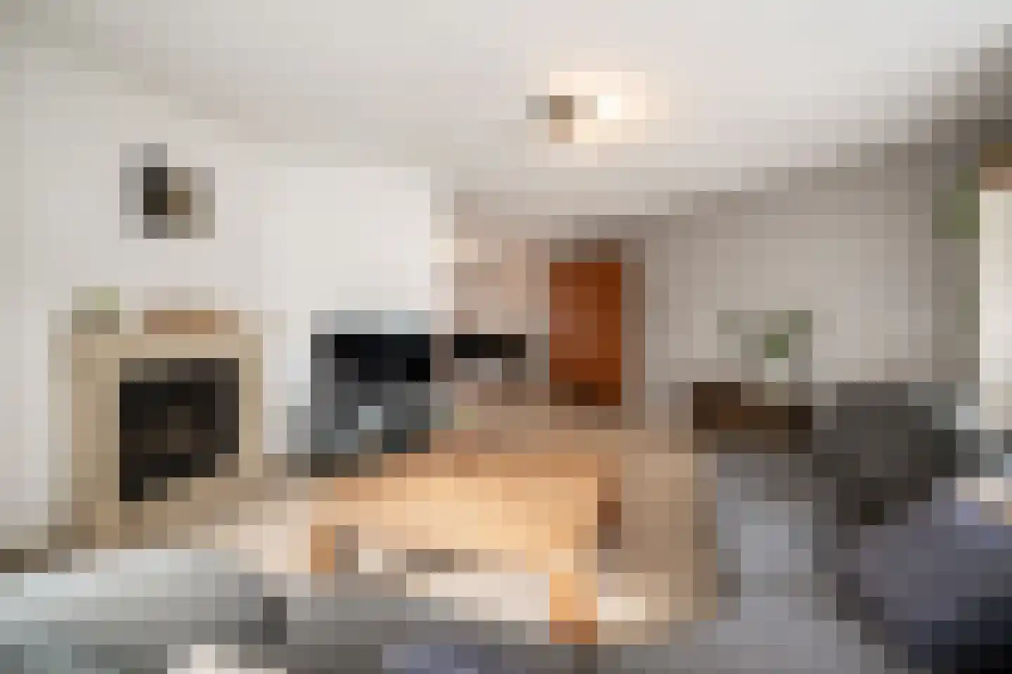 Schaafdries 13 Ravenstein thumbnail 9