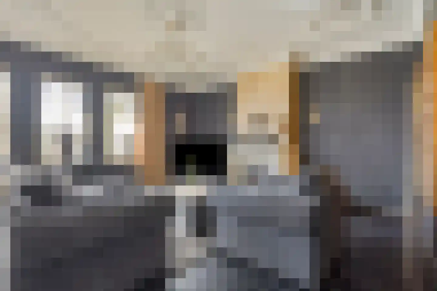 Schaafdries 60 Ravenstein thumbnail 10
