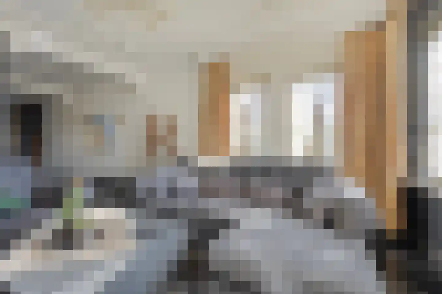 Schaafdries 60 Ravenstein thumbnail 12
