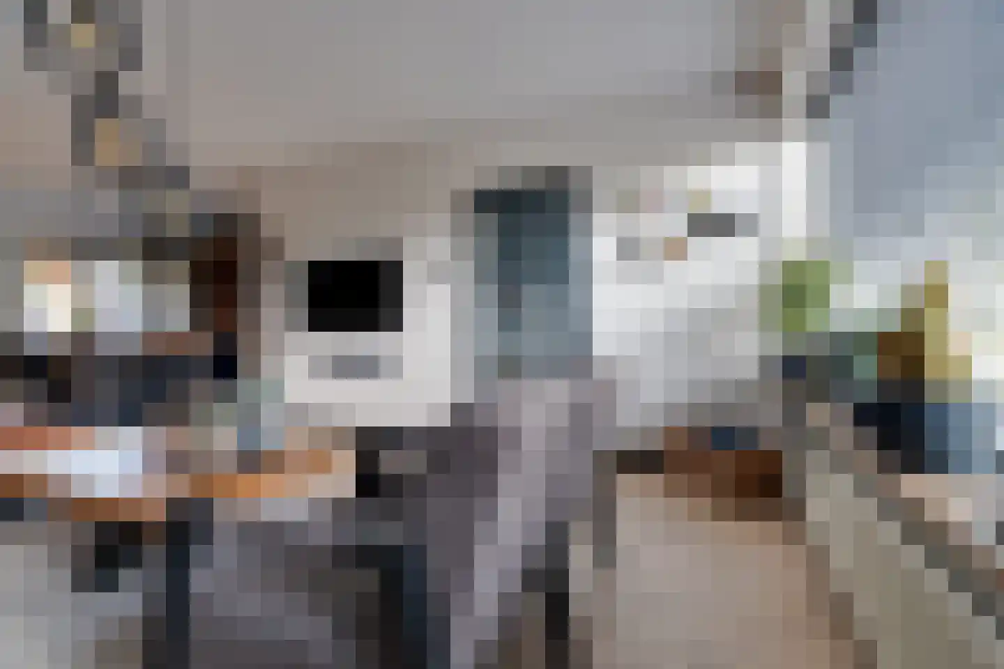 Schaafdries 60 Ravenstein thumbnail 13