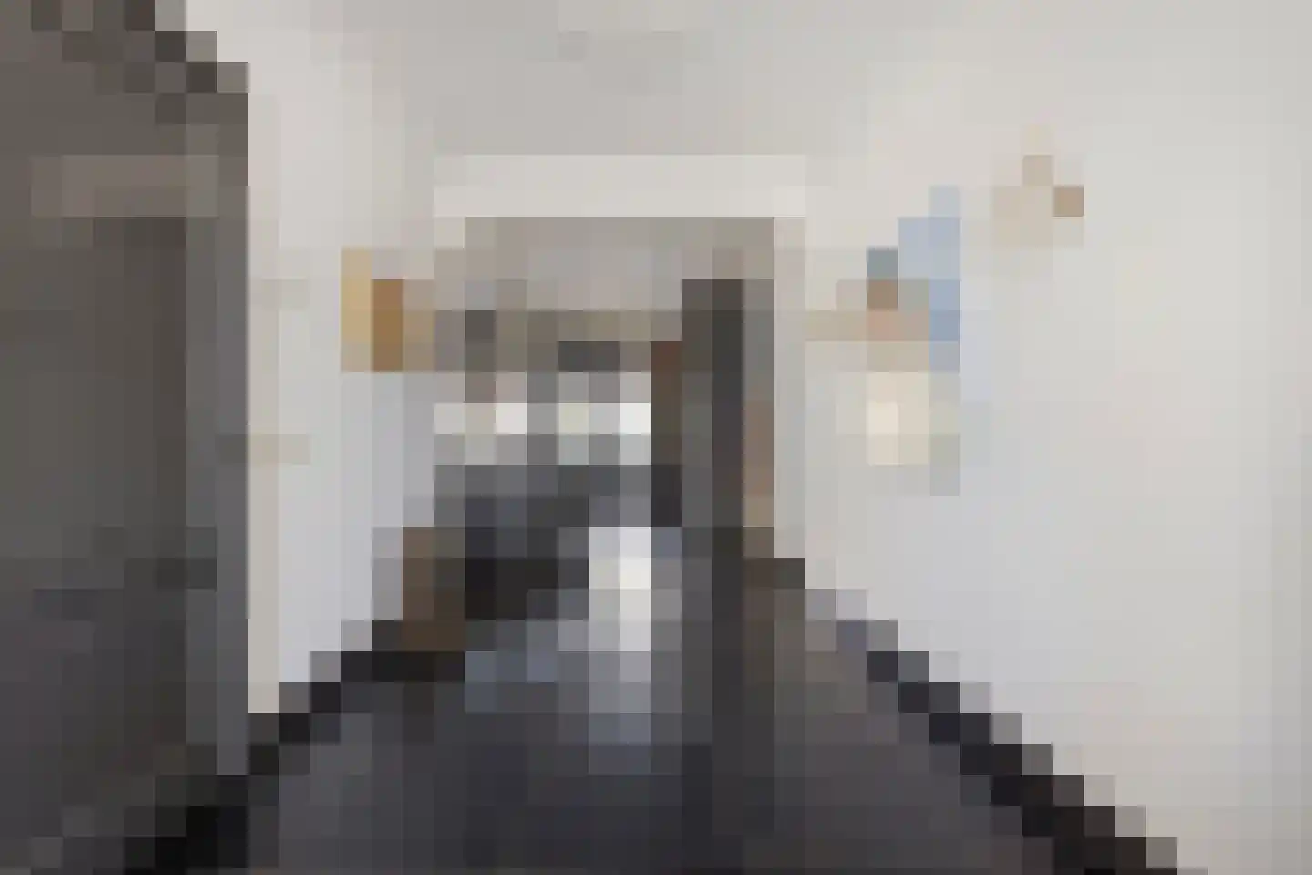 Schaafdries 60 Ravenstein thumbnail 15