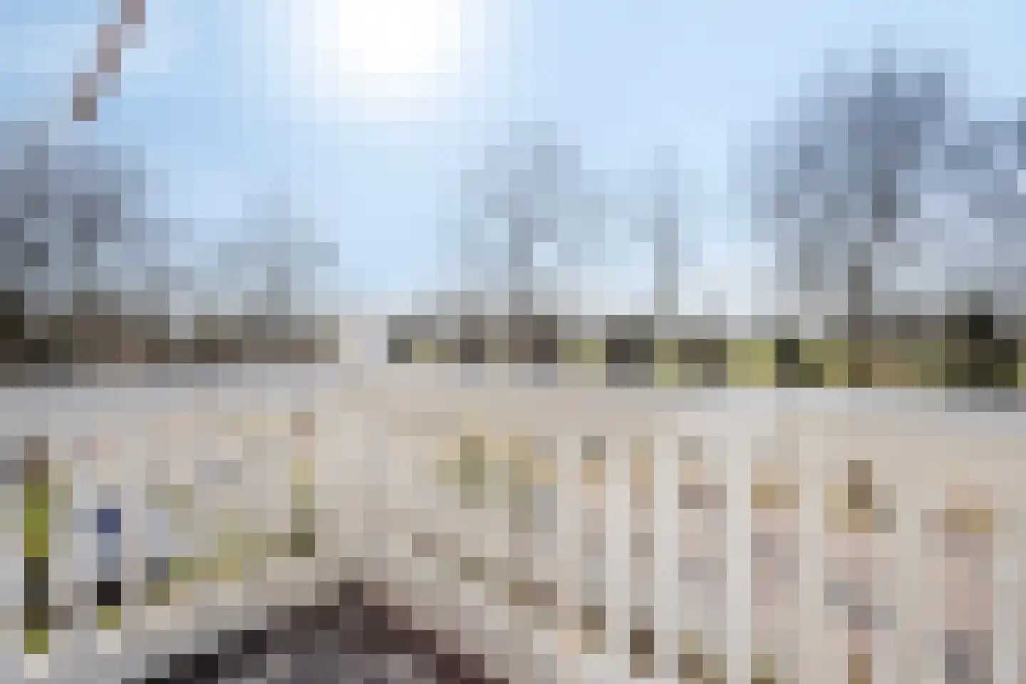 Schaafdries 60 Ravenstein thumbnail 32