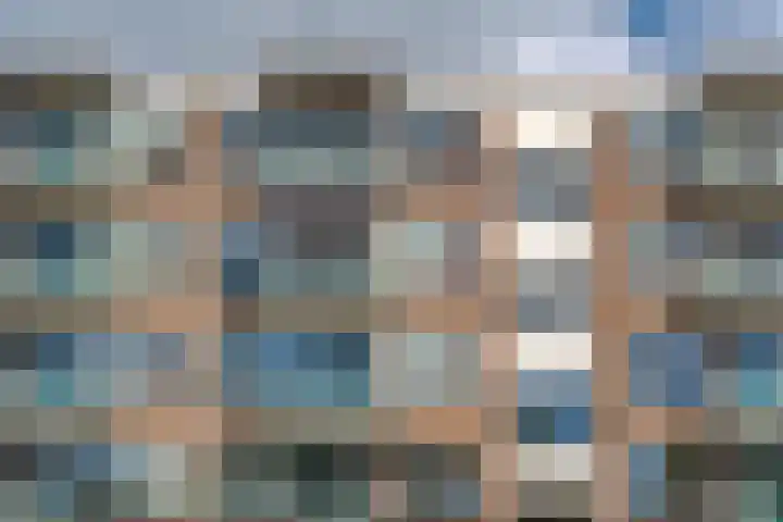 Schaafdries 60 Ravenstein thumbnail 36