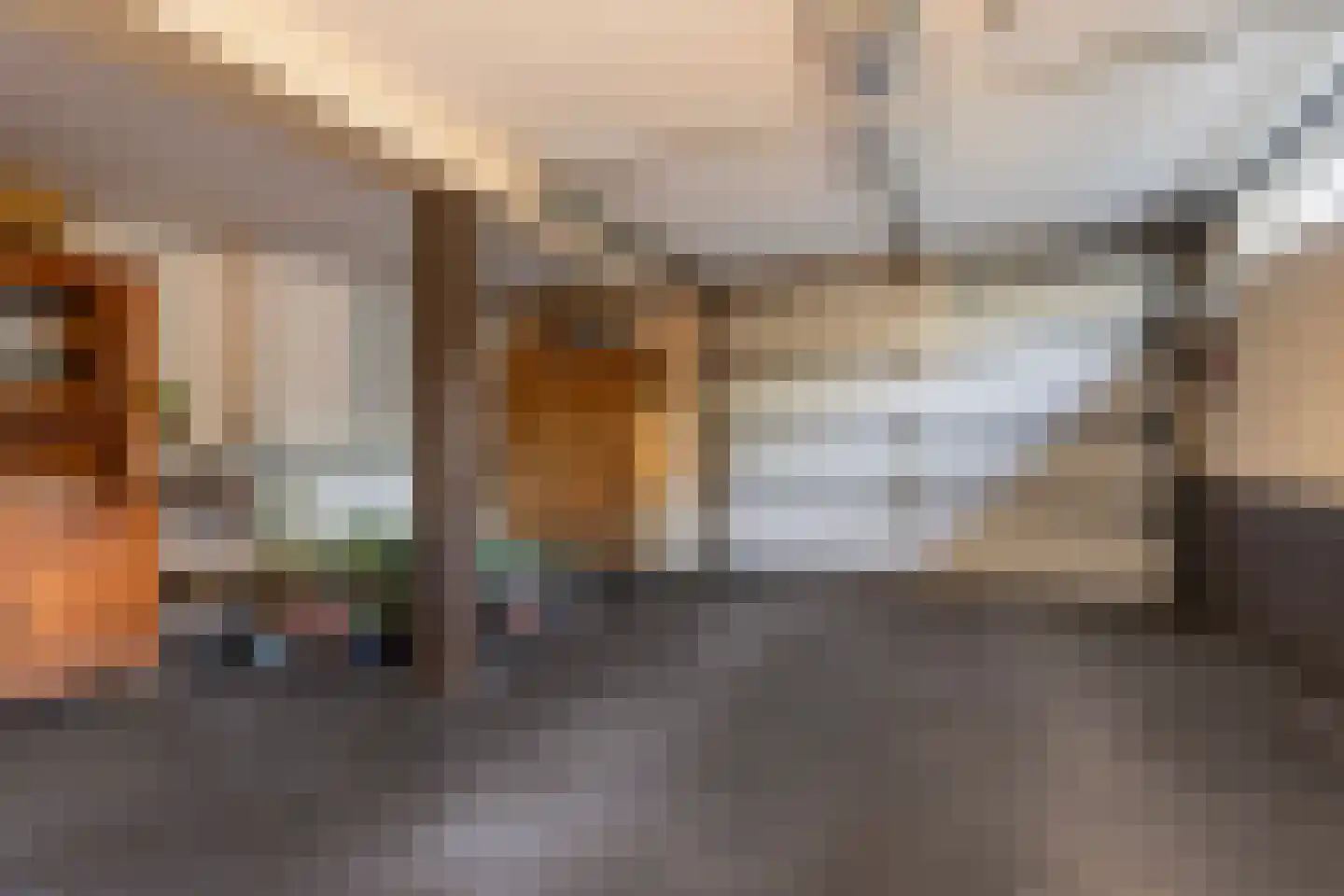 Schaafdries 60 Ravenstein thumbnail 46
