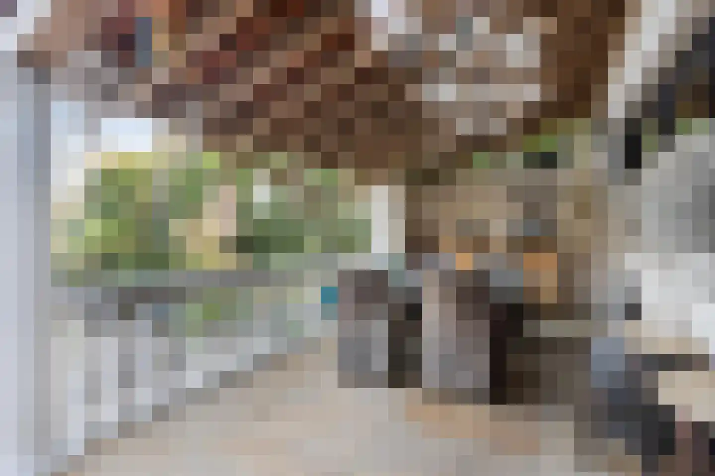 Schaafdries 60 Ravenstein thumbnail 52