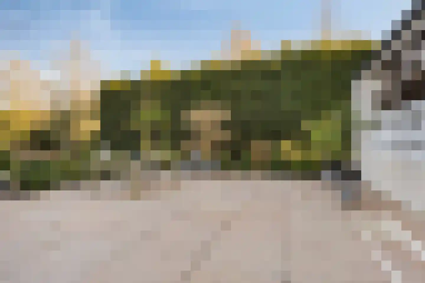Schaafdries 60 Ravenstein thumbnail 54