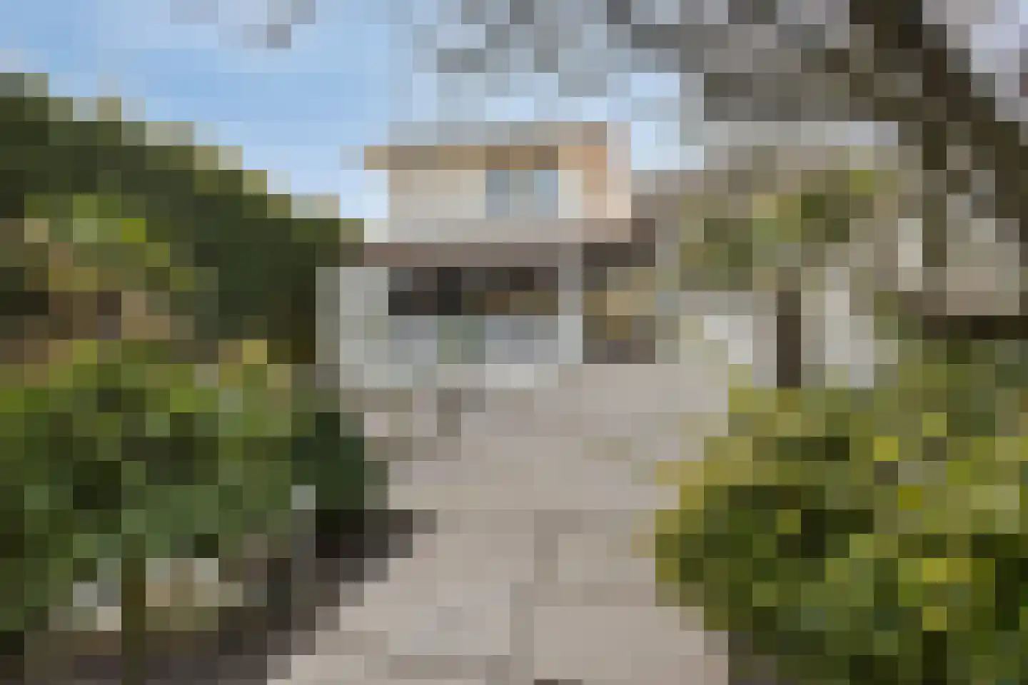 Schaafdries 60 Ravenstein thumbnail 56