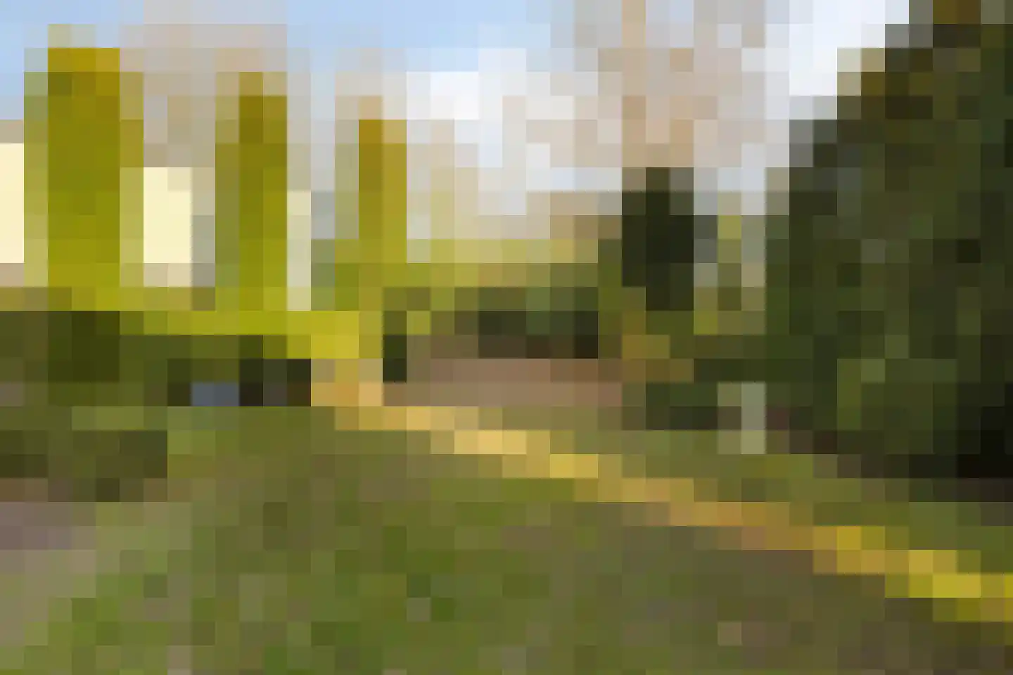 Schaafdries 60 Ravenstein thumbnail 58