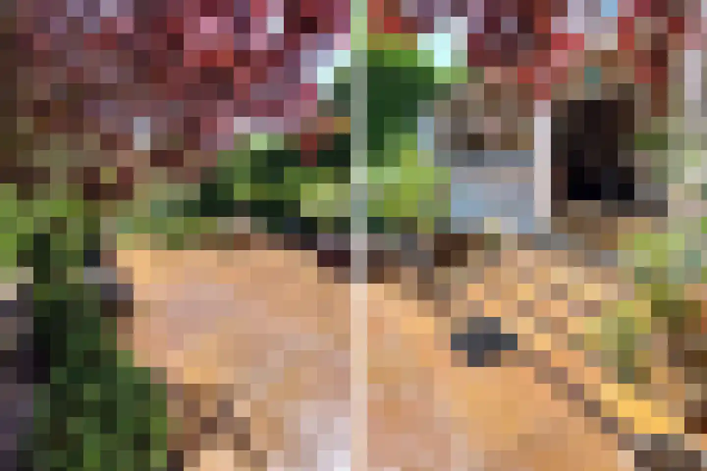 Schaafdries 60 Ravenstein thumbnail 60