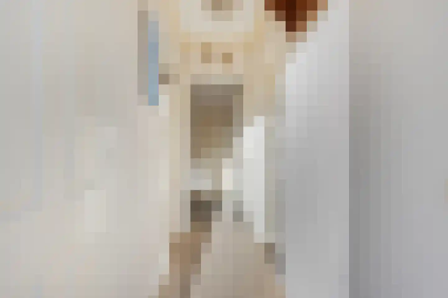 Schaafdries 60 Ravenstein thumbnail 66