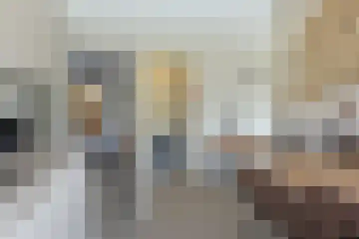Schaafdries 60 Ravenstein thumbnail 67
