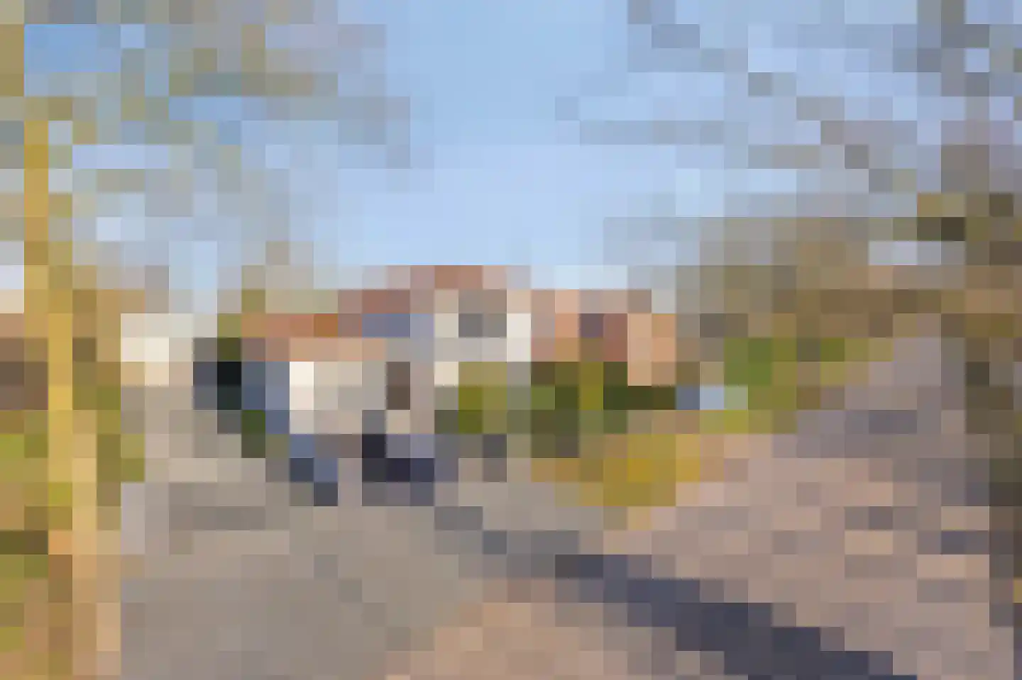 Schaafdries 60 Ravenstein thumbnail 80