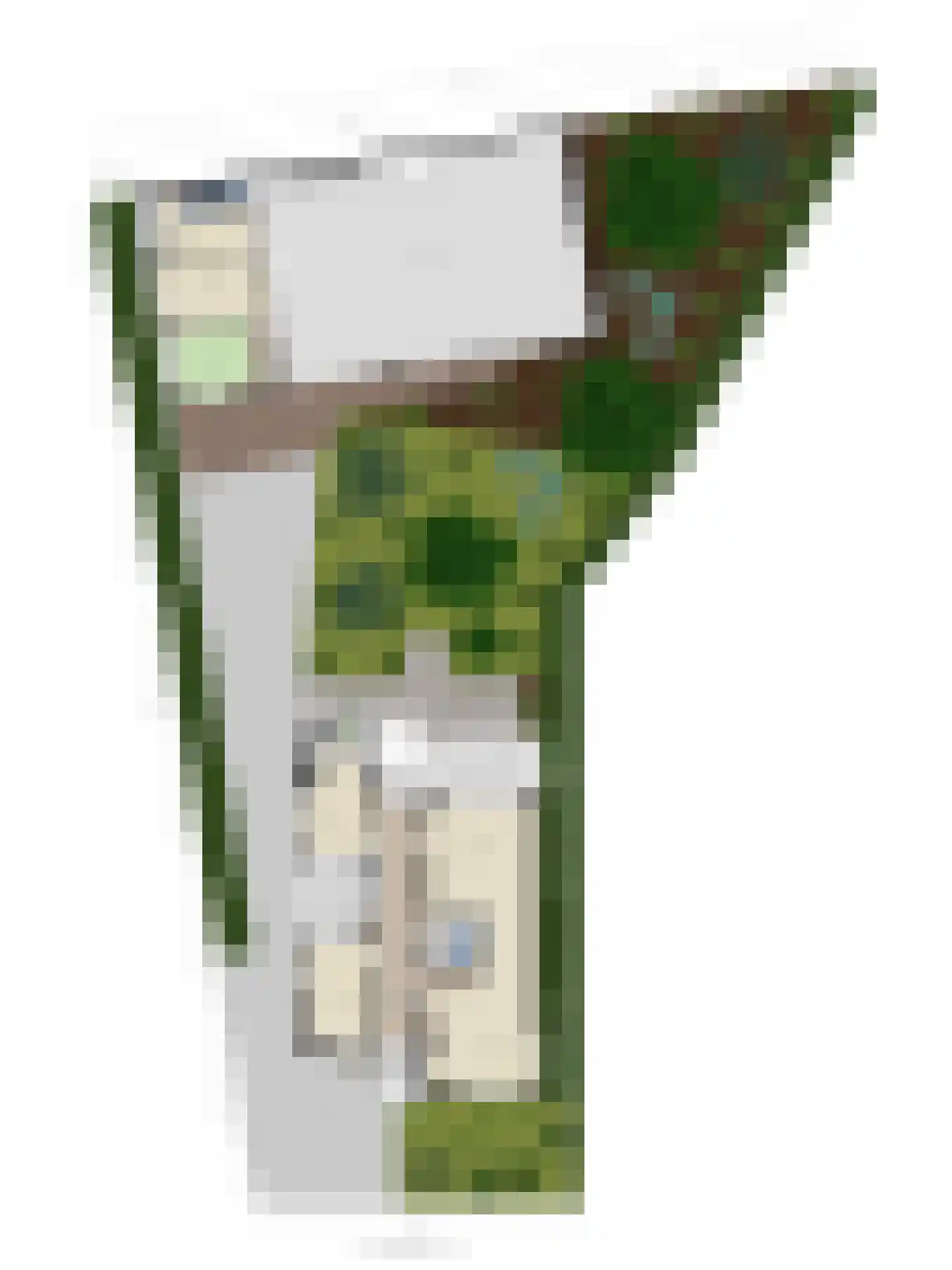 Schaafdries 60 Ravenstein thumbnail 81