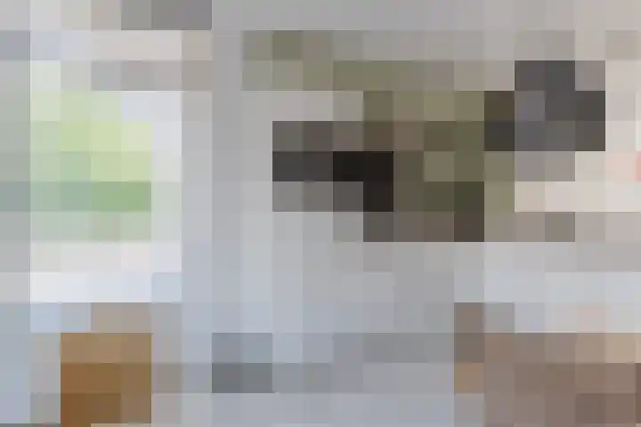 Schaafpad 6 Oosterhout thumbnail 10