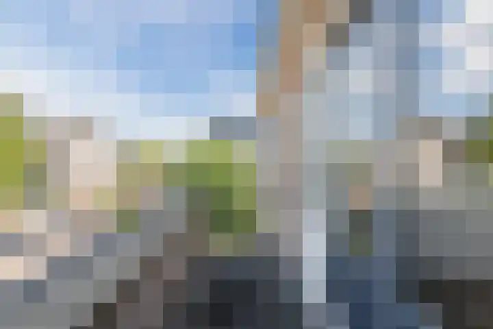 Schaafpad 6 Oosterhout thumbnail 16