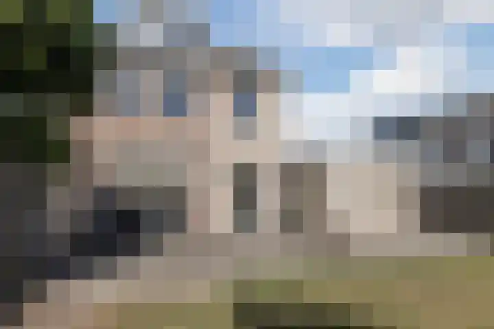 Schaafpad 6 Oosterhout thumbnail 28