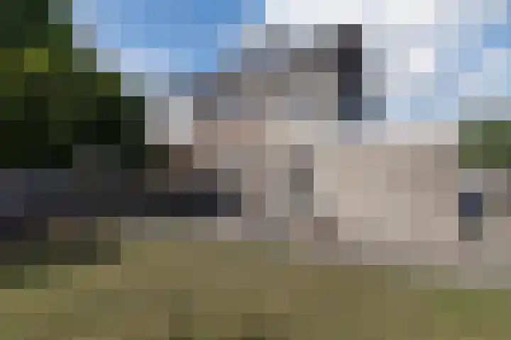 Schaafpad 6 Oosterhout thumbnail 29