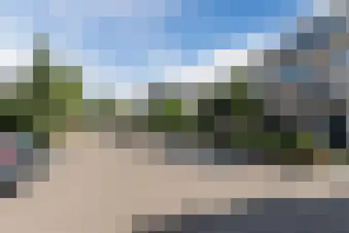 Schaafpad 6 Oosterhout thumbnail 31