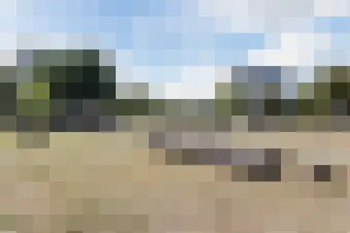 Schaafpad 6 Oosterhout thumbnail 32