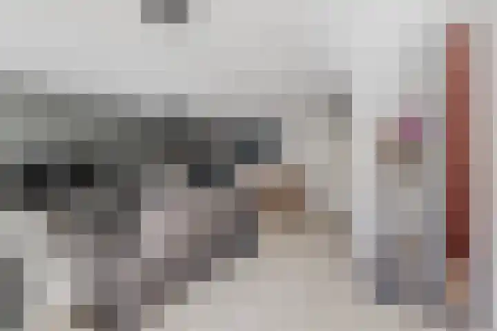 Schaafpad 6 Oosterhout thumbnail 6