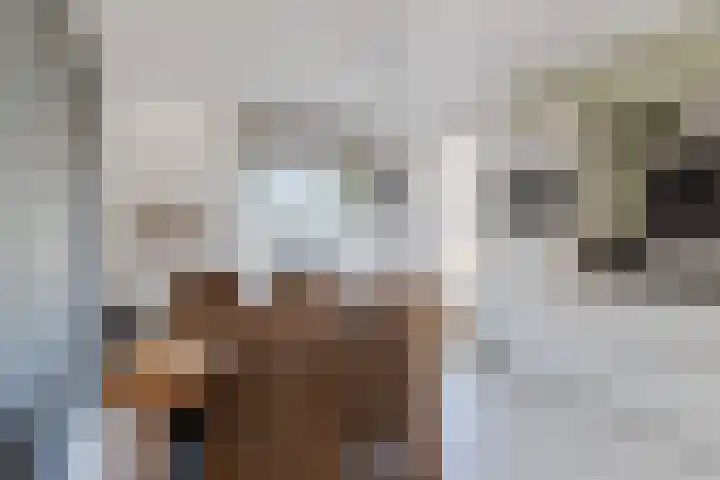 Schaafpad 6 Oosterhout thumbnail 8