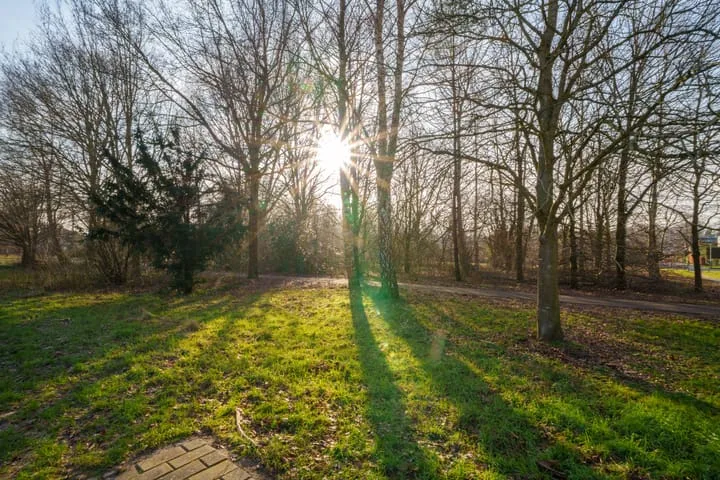 Schaakveld 39 Almere thumbnail 55