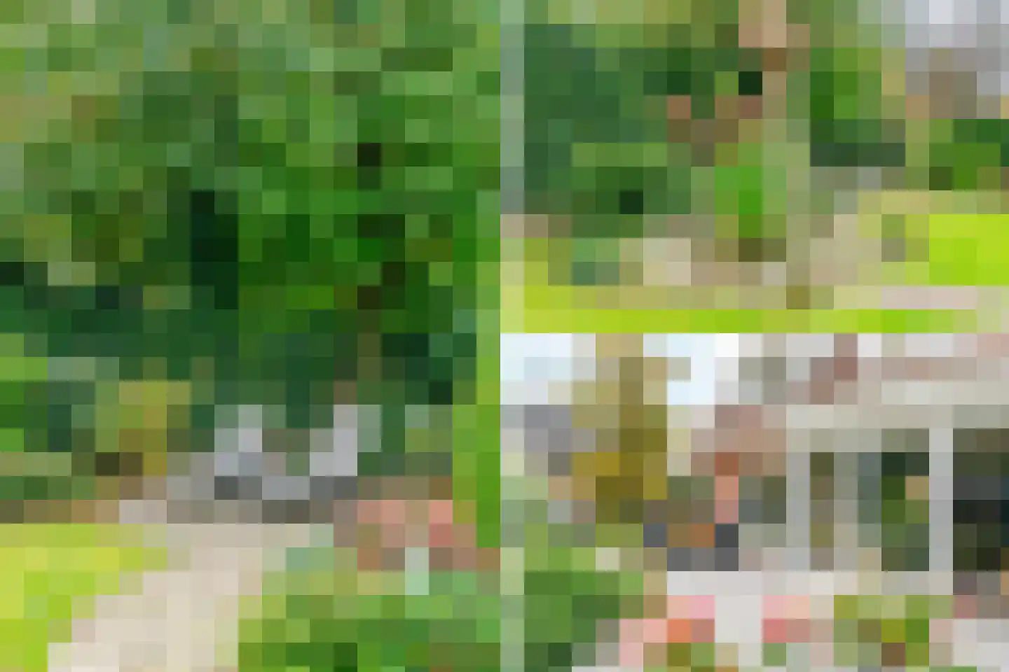 Schaakveld 44 Almere thumbnail 22