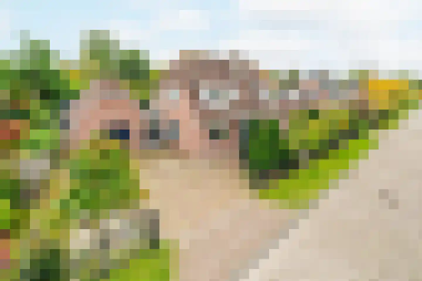 Schaakveld 44 Almere thumbnail 46