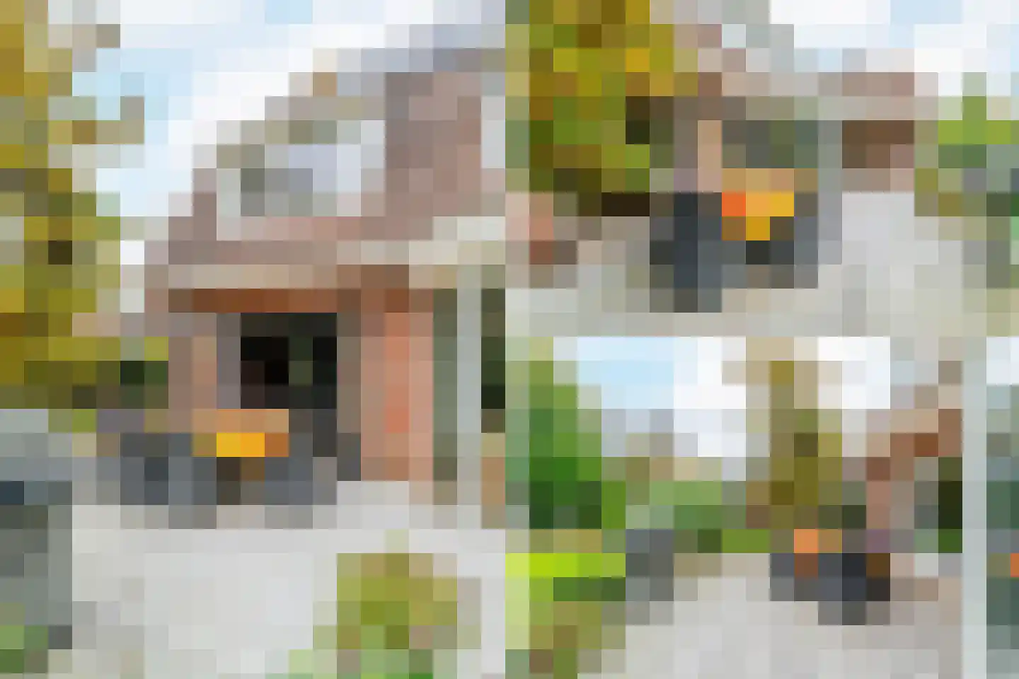 Schaakveld 44 Almere thumbnail 58
