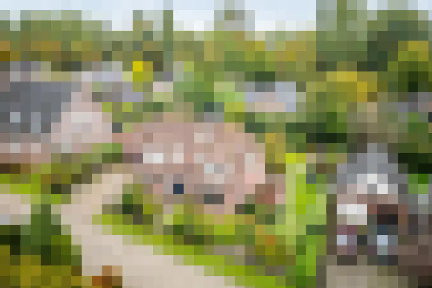 Schaakveld 44 Almere thumbnail 60