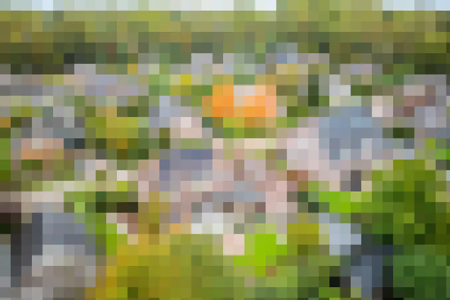 Schaakveld 44 Almere thumbnail 61