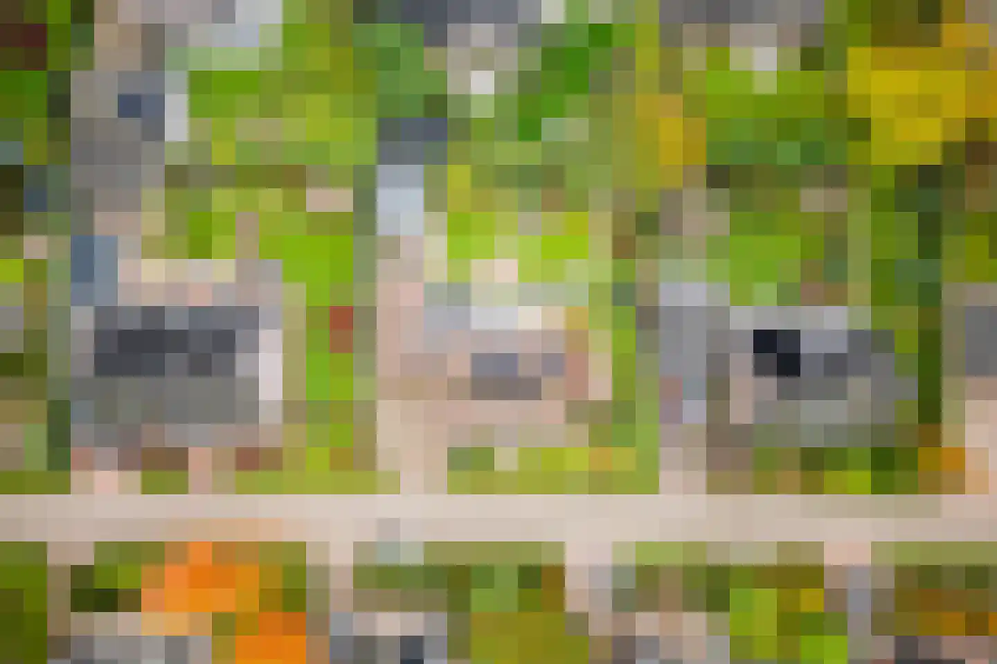 Schaakveld 44 Almere thumbnail 64